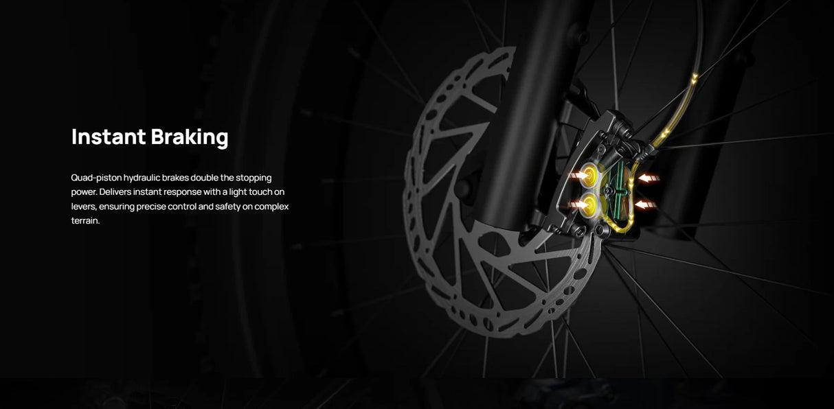 Mokwheel Onyx E-bike