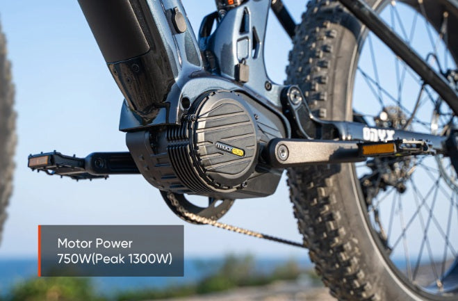 Mokwheel Onyx E-bike