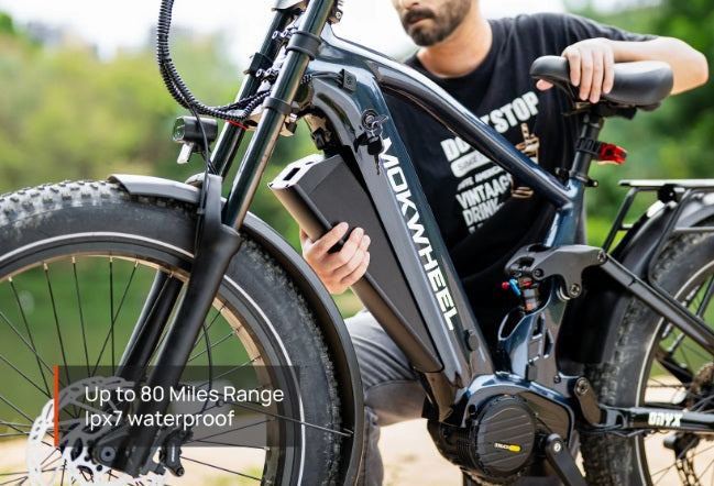 Mokwheel Onyx E-bike