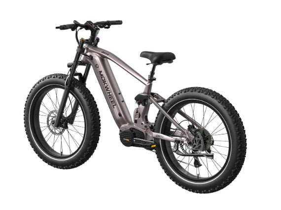 Mokwheel Onyx E-bike