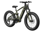 Mokwheel Onyx E-bike
