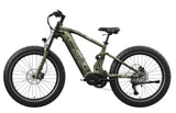 Mokwheel Onyx E-bike