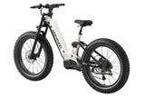 Mokwheel Onyx ST E-bike