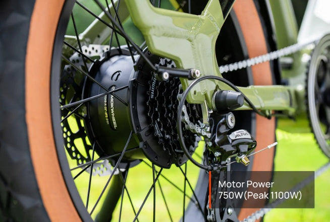 Mokwheel Scoria E-Bike