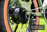 Mokwheel Scoria E-Bike