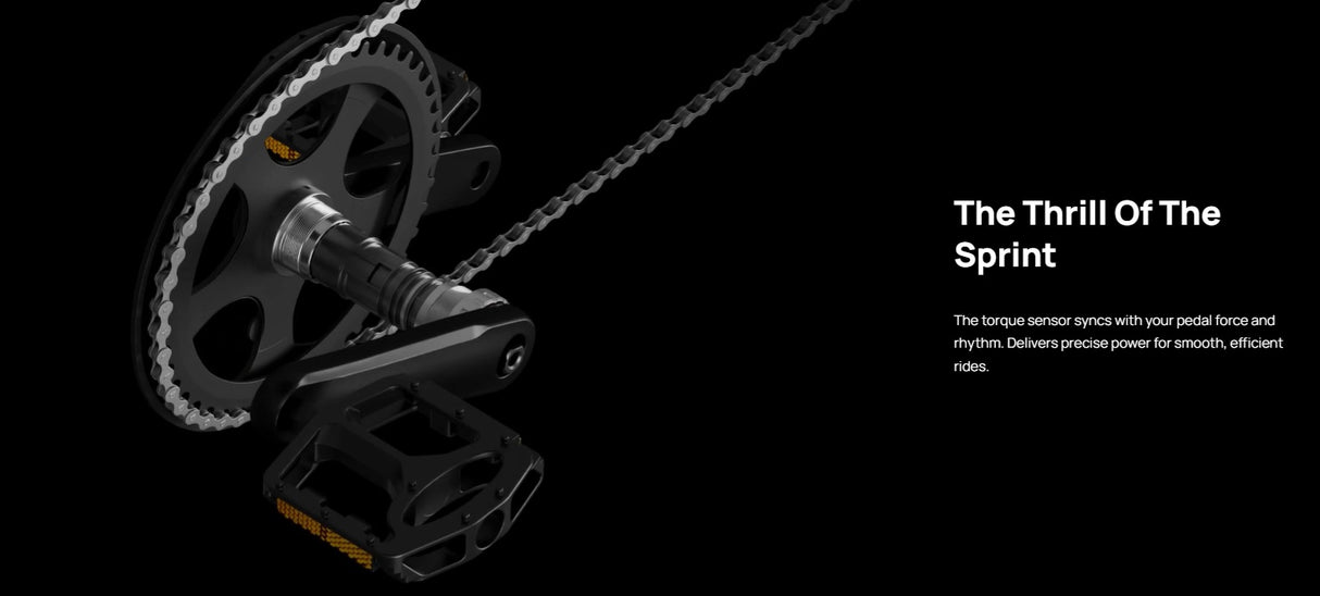 Mokwheel Tarmac  E-Bike