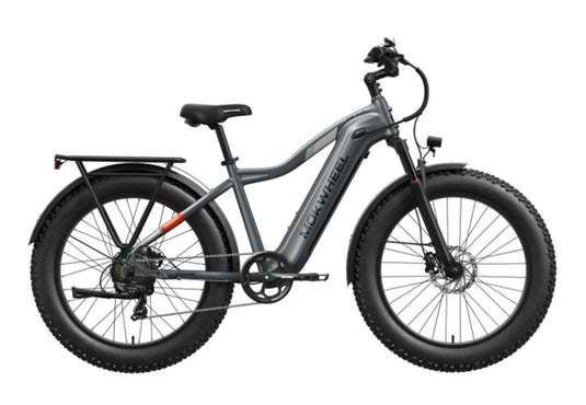 Mokwheel Tor Plus All Terrain E-bike