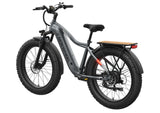 Mokwheel Tor Plus E-bike
