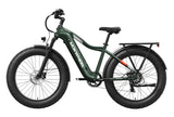 Mokwheel Tor Plus E-bike