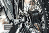 Mokwheel Tor Plus E-bike