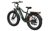 Mokwheel Tor Plus E-bike